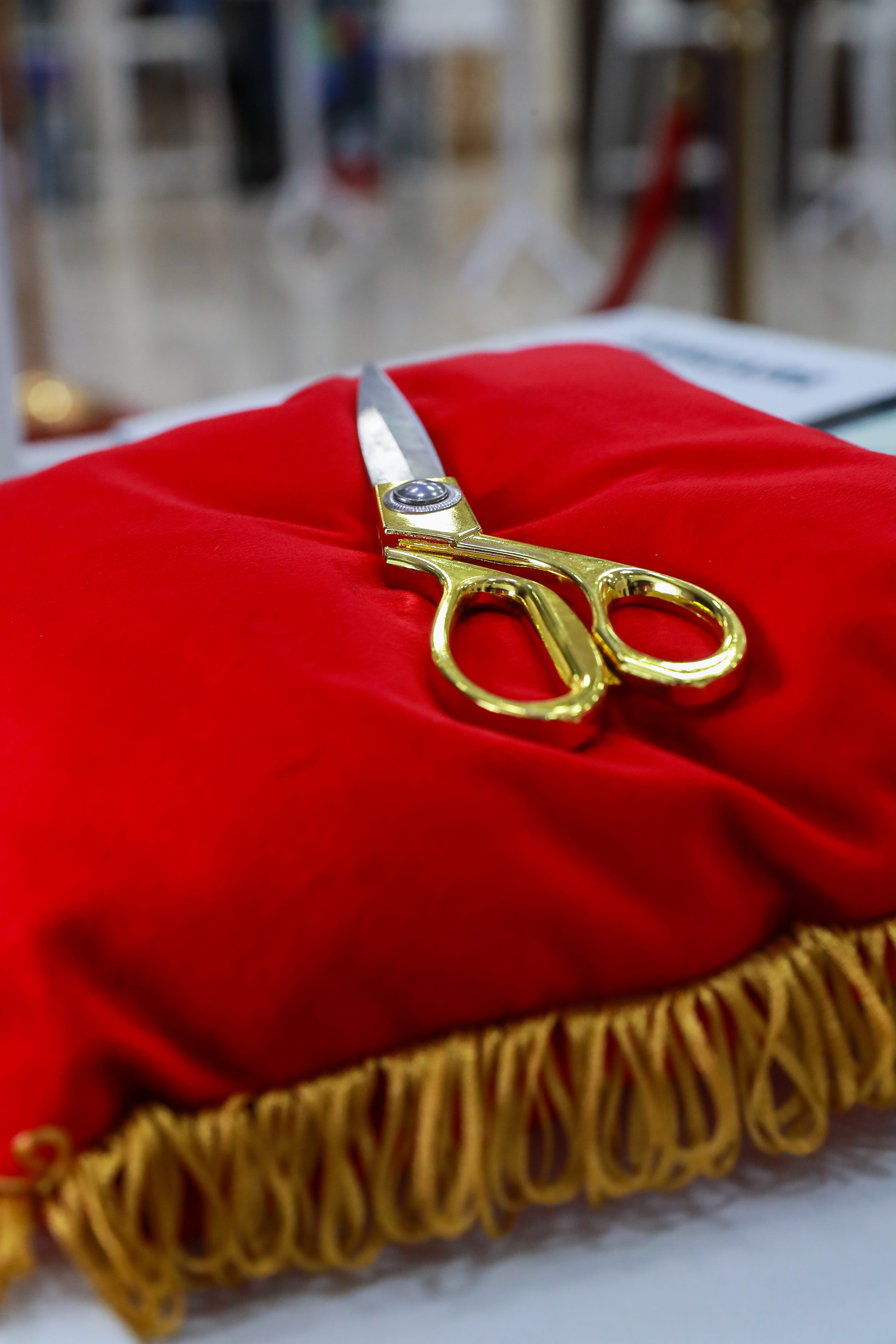 COUPURE DU RUBAN (2)